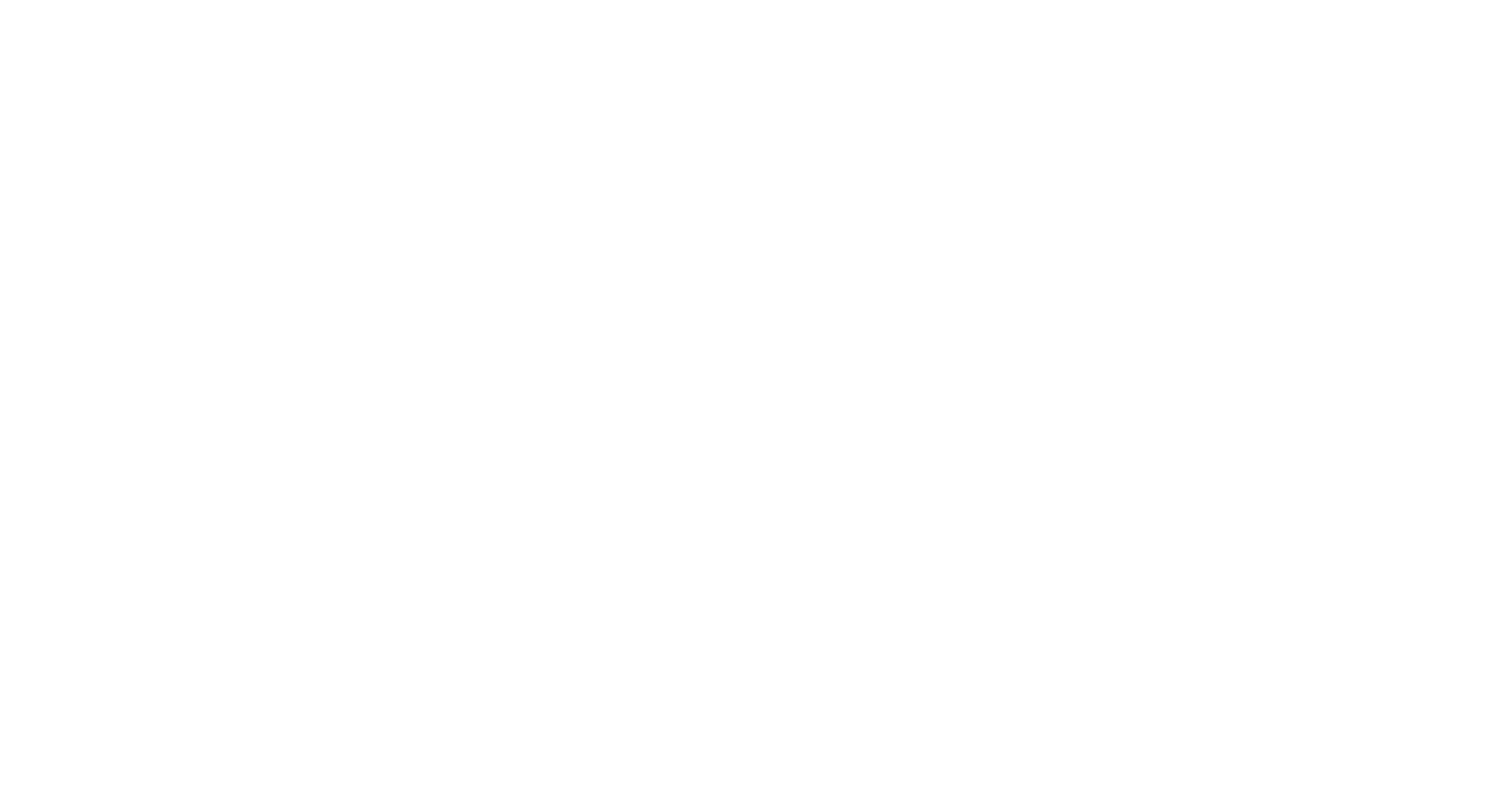 CorpNinja Advisors